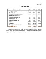 Referāts 'Pakalpojumu uzņēmumu organizēšana', 30.