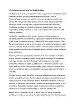 Eseja 'Cilvēktiesību aizsardzība mūsdienu tiesiskajā sistēmā', 1.