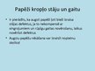 Prezentācija 'Kurpes un to papēži', 8.