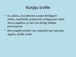 Prezentācija 'Kurpes un to papēži', 12.