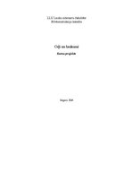 Konspekts 'Ceļi un laukumi', 1.