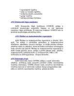 Referāts 'Apvienoto Nāciju Organizācijas funkcijas un institūcijas', 11.