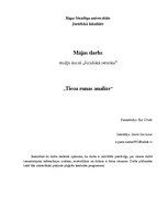 Paraugs 'Tiesu runas analīze', 1.