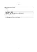 Referāts 'Ventspils naftas termināls, Liepājas speciālās ekonomiskās zonas pārvalde', 3.