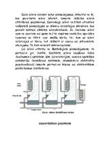 Referāts 'Ūdens', 6.