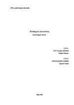 Referāts 'Interneta pieslēgumi', 1.