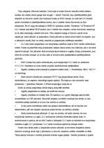 Referāts 'Interneta pieslēgumi', 5.