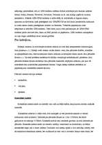 Referāts 'Interneta pieslēgumi', 13.