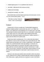 Referāts 'Interneta pieslēgumi', 15.