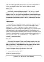 Referāts 'Interneta pieslēgumi', 16.