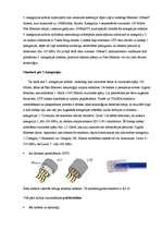 Referāts 'Interneta pieslēgumi', 18.