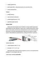 Referāts 'Interneta pieslēgumi', 19.