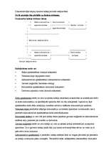 Referāts 'Interneta pieslēgumi', 21.