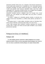 Referāts 'Interneta pieslēgumi', 25.