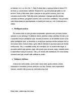 Referāts 'Interneta pieslēgumi', 33.