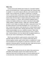 Referāts 'Interneta pieslēgumi', 40.