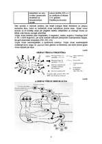 Referāts 'Gripa', 4.