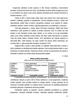 Diplomdarbs 'Vidusskolēnu profesionālās pilnveides programma kā studiju izvēles veicinātāja', 19.