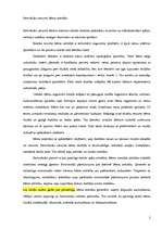 Referāts 'Pirmsskolas vecuma bērnu attīstība', 2.