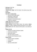 Referāts 'Kreilība', 2.