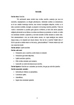 Referāts 'Kreilība', 4.