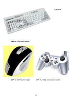 Referāts 'Kreilība', 25.