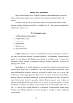 Referāts 'A/s "Hansabanka" darbības raksturojums un pakalpojumu analīze', 21.