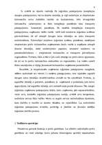 Referāts 'Noliktavu nozīme - tehnoloģiskie procesi un noliktavu operācijas', 9.