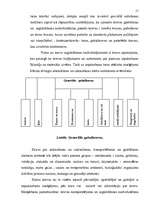 Referāts 'Noliktavu nozīme - tehnoloģiskie procesi un noliktavu operācijas', 11.