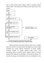 Referāts 'Noliktavu nozīme - tehnoloģiskie procesi un noliktavu operācijas', 17.