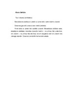 Referāts 'Mākslinieciskā analīze F.Medelsona - Bartoldi dziesmai jauktam korim "Atvadas no', 17.