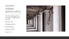 Referāts 'Jaunieši un risks', 2.