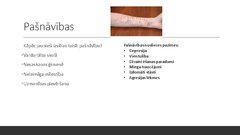 Referāts 'Jaunieši un risks', 4.