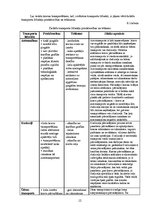 Referāts 'Eksporta plāns', 11.