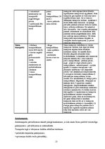 Referāts 'Eksporta plāns', 12.