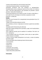 Referāts 'Eksporta plāns', 13.