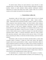 Referāts 'Vadības stili', 6.