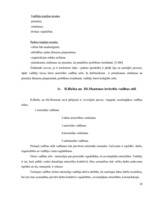 Referāts 'Vadības stili', 10.