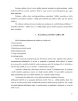 Referāts 'Vadības stili', 11.