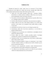 Referāts 'Vadības stili', 13.