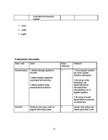 Paraugs 'Ineša ezera krasta labiekārtošana un peldvietas izveidošana', 14.