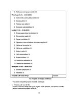 Paraugs 'Ineša ezera krasta labiekārtošana un peldvietas izveidošana', 18.