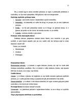 Referāts 'Mārketinga komunikācijas plāns SIA "APARTS"', 23.