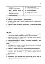 Referāts 'Mārketinga komunikācijas plāns SIA "APARTS"', 28.