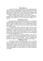 Konspekts 'Viduslaiku tiesu sistēma', 11.