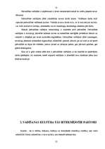 Diplomdarbs 'Vadīšanas kultūra pašvaldībās', 22.