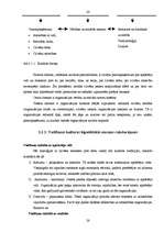 Diplomdarbs 'Vadīšanas kultūra pašvaldībās', 26.