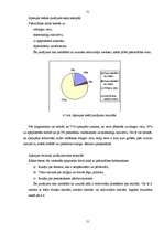 Diplomdarbs 'Vadīšanas kultūra pašvaldībās', 51.