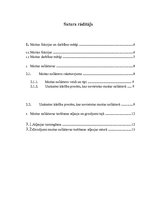 Referāts 'Muitas noliktavas turēšanas atļauju izsniegšana un grozījumi tās saturā', 3.