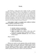 Referāts 'Muitas noliktavas turēšanas atļauju izsniegšana un grozījumi tās saturā', 5.